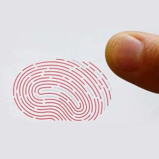 finger print