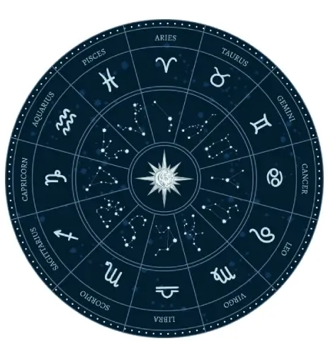 best nadi astrologer