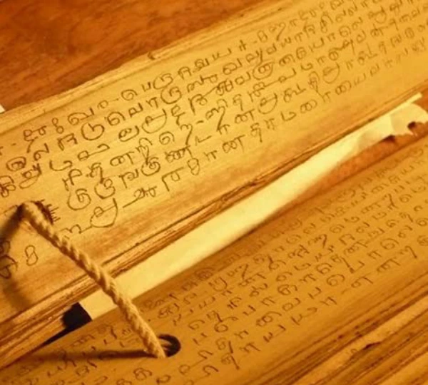 palm leaf astrology nadi palm leaf reading
