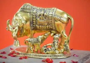 Kamdhenu-Homam-pooja