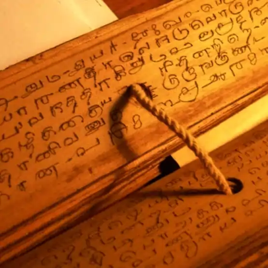 Nadi leaves Nadi leaves